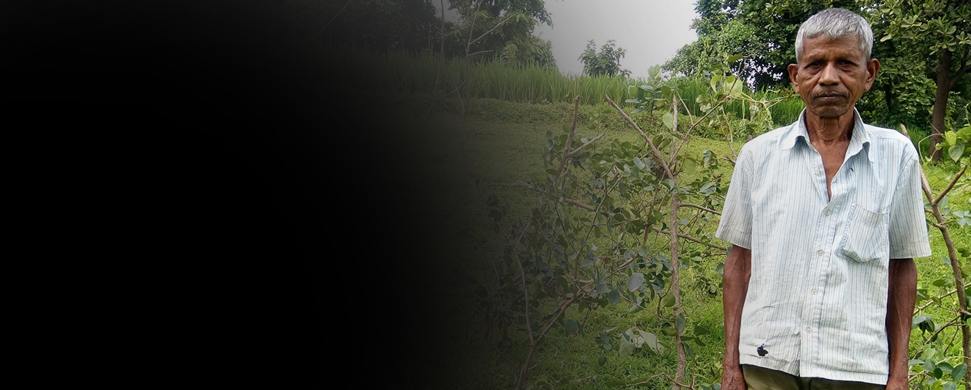contribution banner